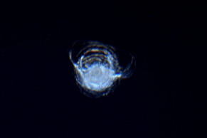 Here’s why NASA isn’t worried about this scary crack in International Space Station window | The Daily Dot
