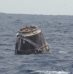 Critical NASA Science Returns to Earth aboard SpaceX Dragon Spacecraft