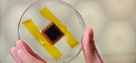 Light-Trapping 3-D Solar Cells Undergo Space Testing